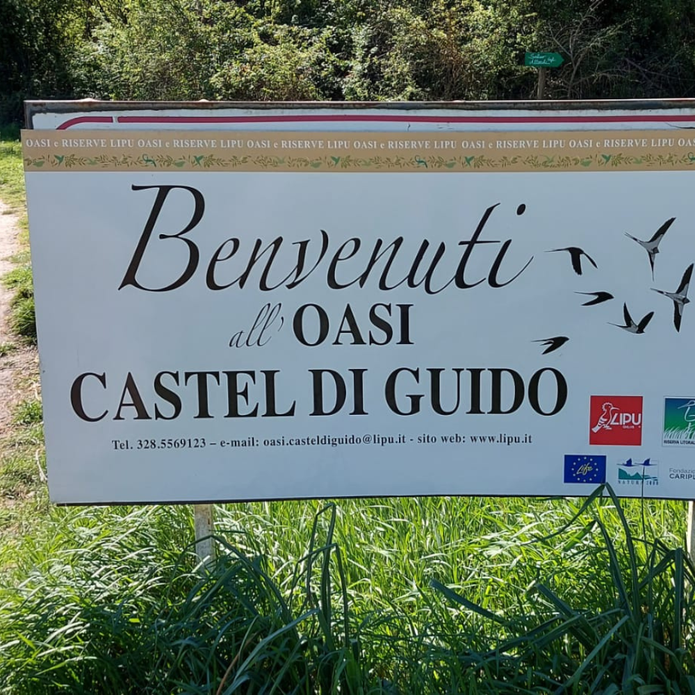 ANTICO E MODERNO NEL CUORE DI ….CASTEL DI GUIDO
