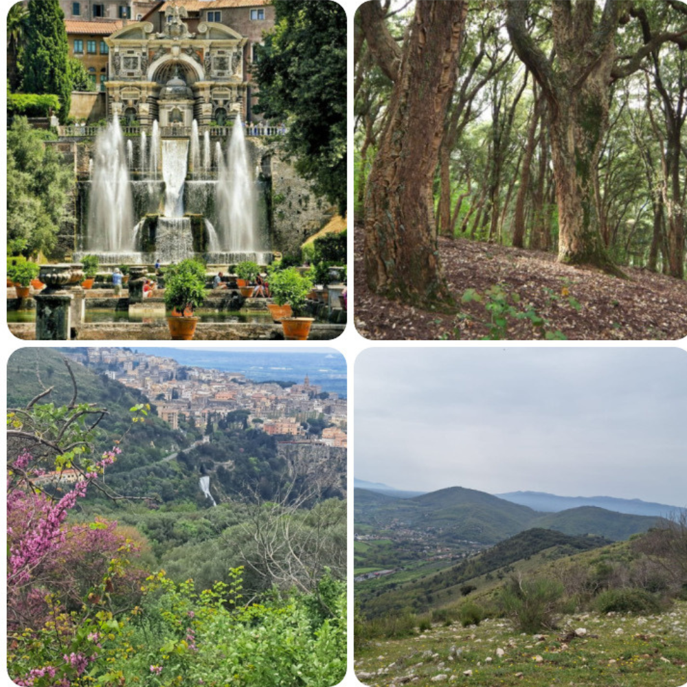 Con l’occhio della sughera…alla valle dell’Aniene (Riserva del Monte Catillo e visita a Villa d’Este con ingresso gratuito)