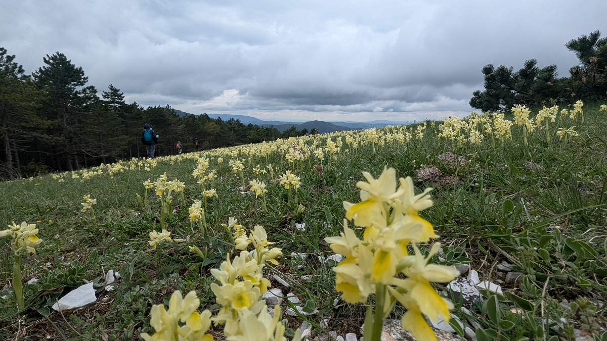 Fioriture e panorami nel cuore dei Simbruini