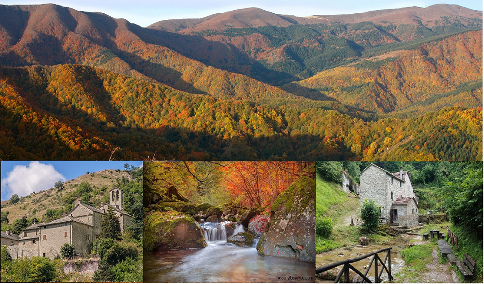 Foliage nella zona Nord del Parco Nazionale delle Foreste Casentinesi