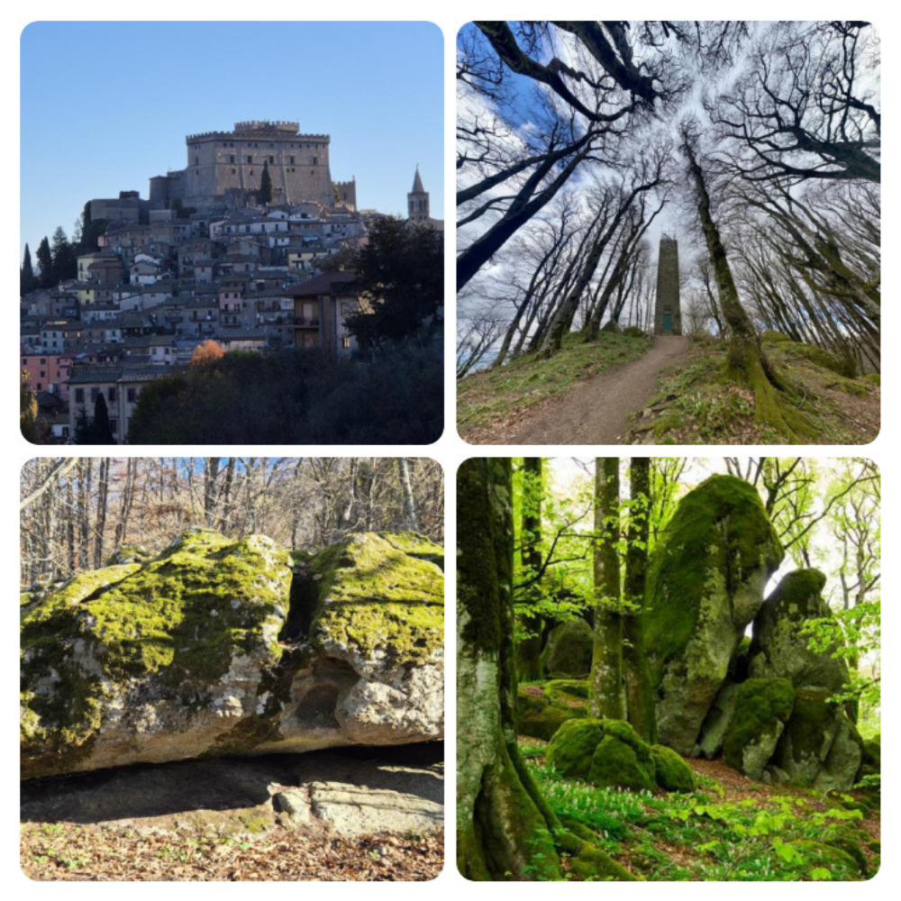 Atmosfere celtiche e magia del foliage: la Faggeta Vetusta del Monte Cimino, Patrimonio Unesco