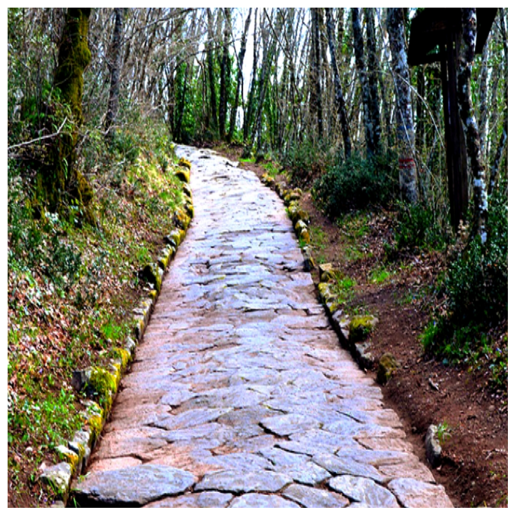 LA VIA SACRA La Storia e la Leggenda