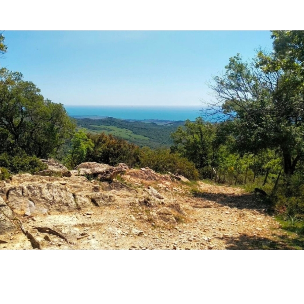 Un’esperienza autentica tra natura, roccia e orizzonti aperti. Scopri il fascino del Biancone