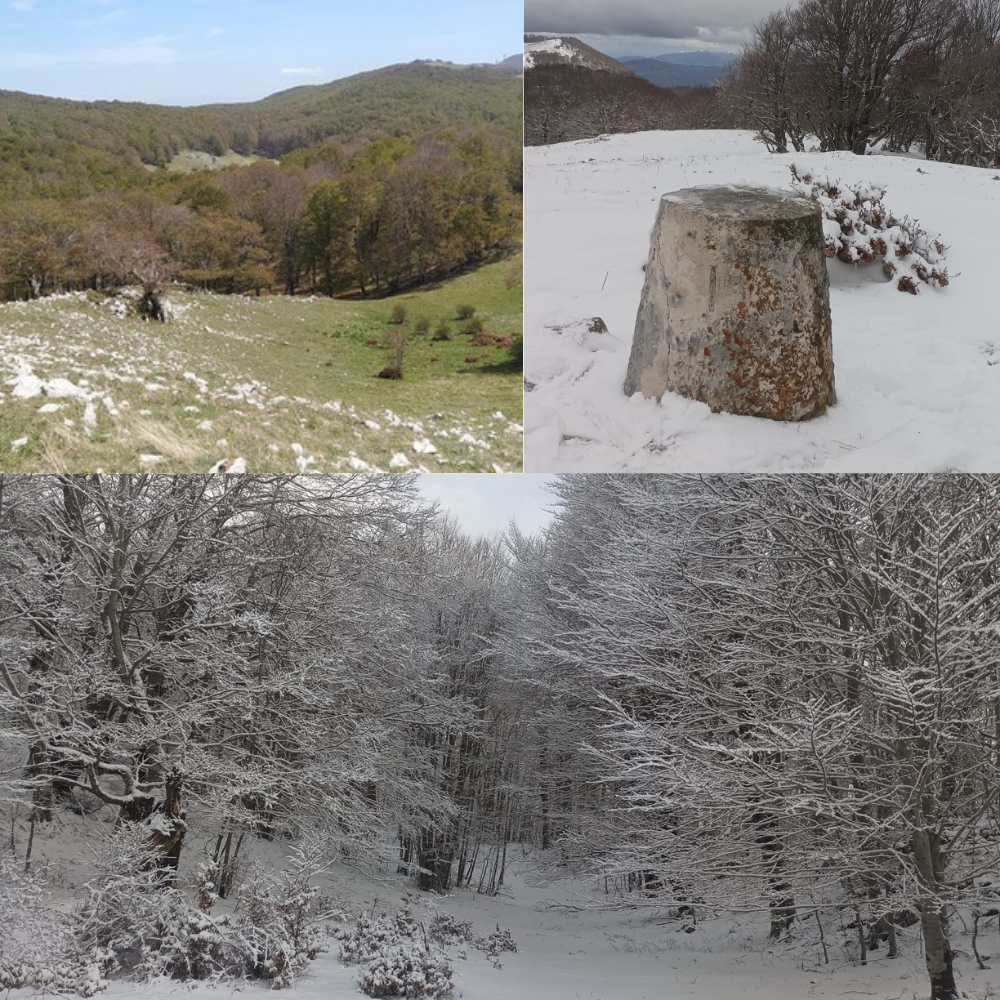 Un anello tra le incontaminate faggete dei Carseolani.