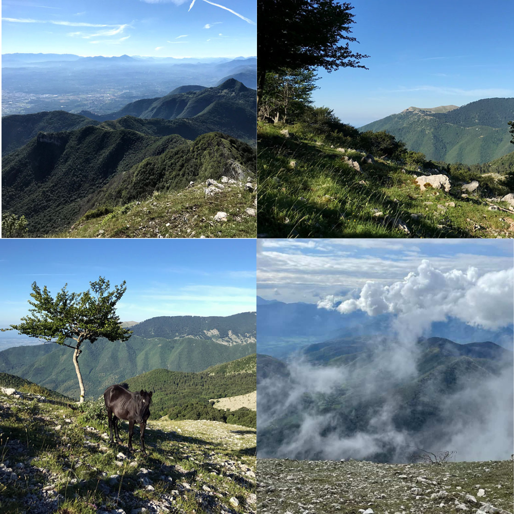 A spasso sui Monti Lepini Monte Gemma 1457 mt.