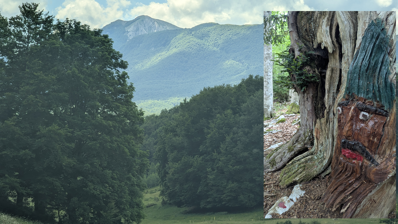 Monte Bertina e sito del borgo abbandonato di Morbano