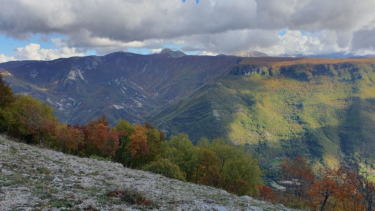 Colle Campitellino da Monte Livata