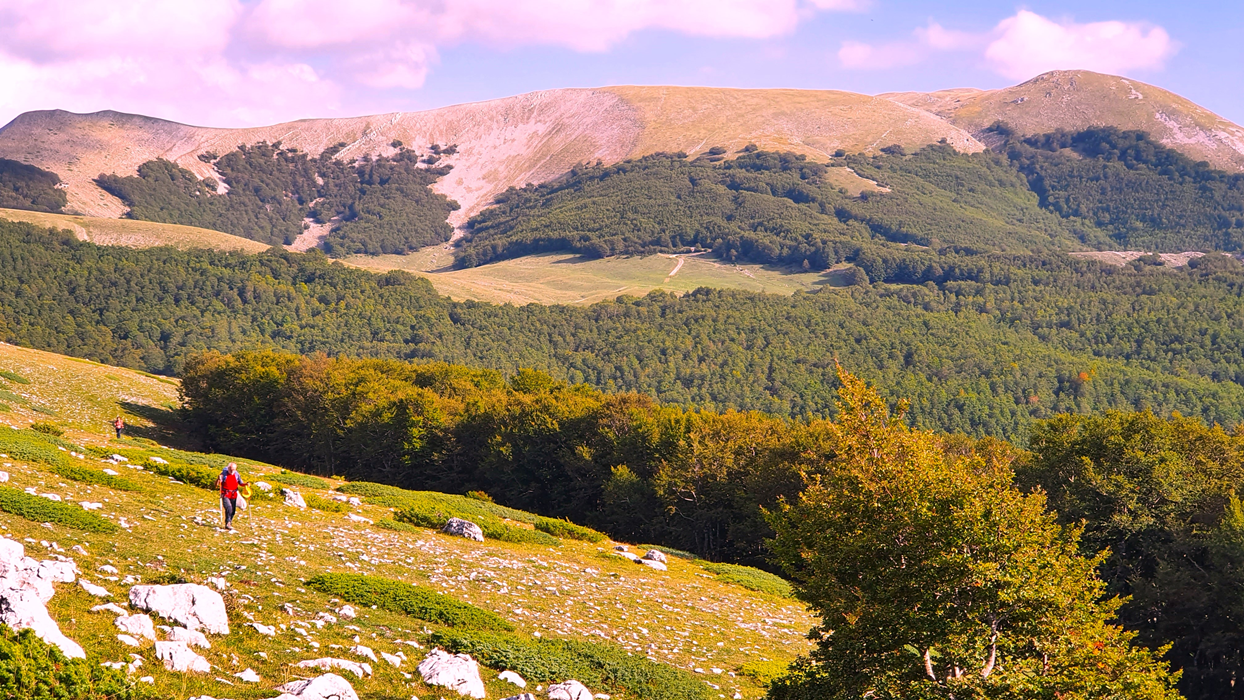 Monte Breccioso