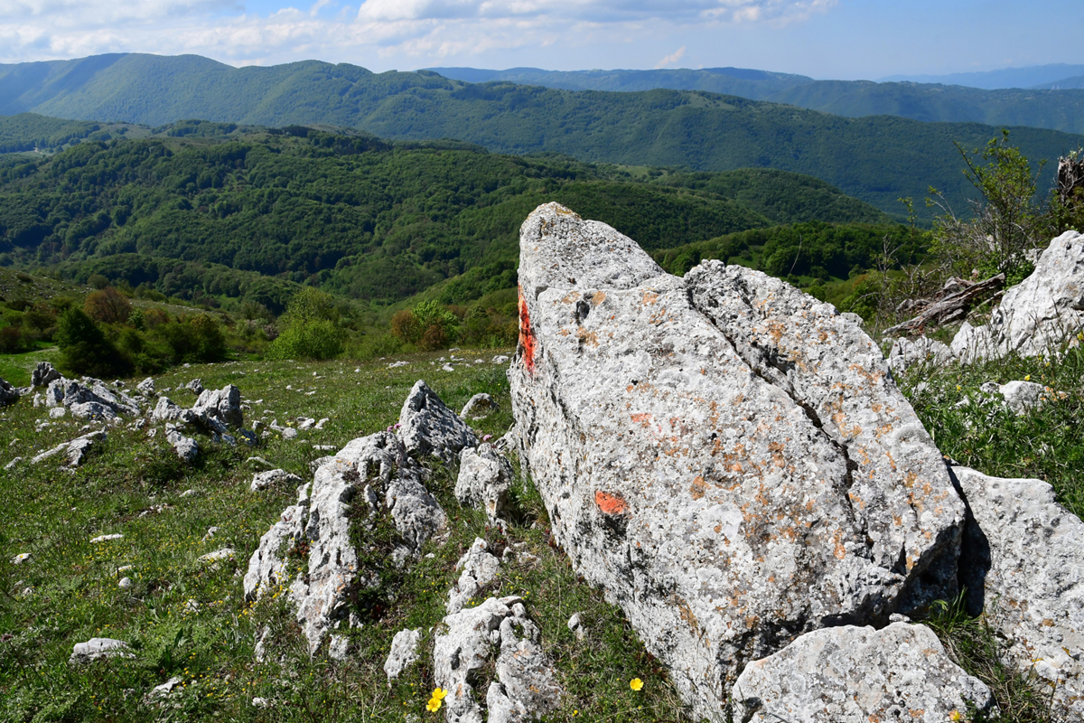 Monte Fontecellese