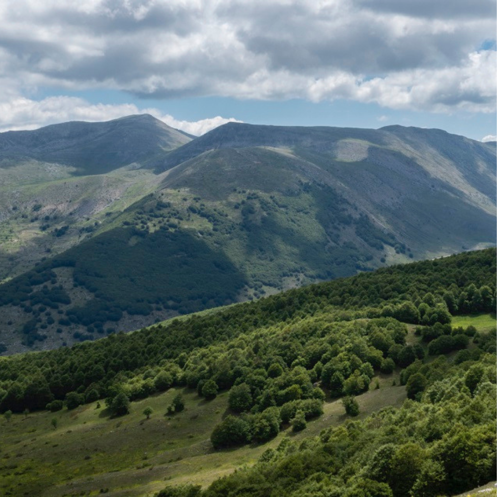 Monte Orsello