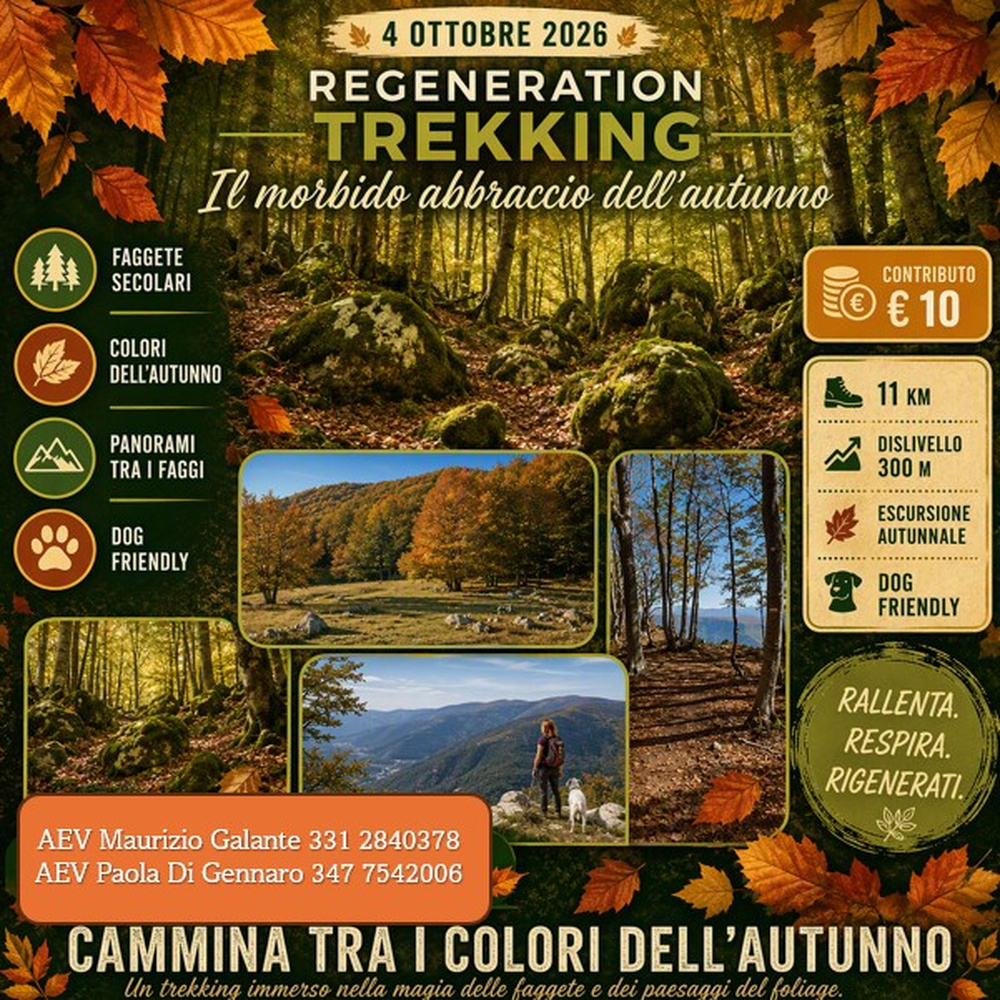 REGENERATION TREKKING: Il morbido abbraccio dell’autunno